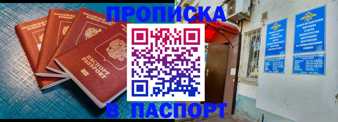 прописка иностранных граждан в Заринске